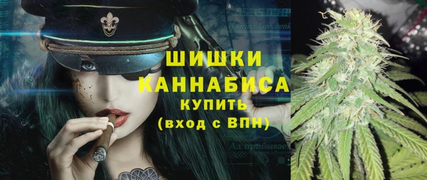 шишки Алексин