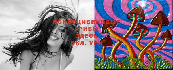 2c-b Россошь