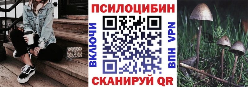 Псилоцибиновые грибы мицелий MEGA рабочий сайт Билибино